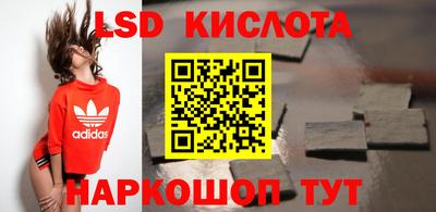 спиды Кингисепп