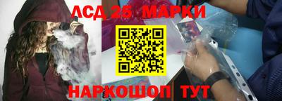 спиды Кингисепп