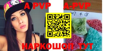 спиды Кингисепп