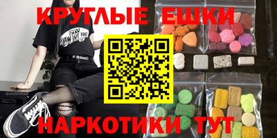 спиды Кингисепп