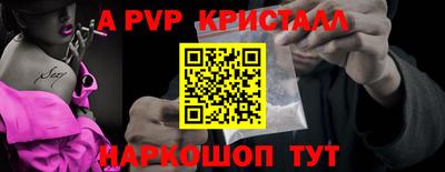 спиды Кингисепп