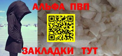 спиды Кингисепп
