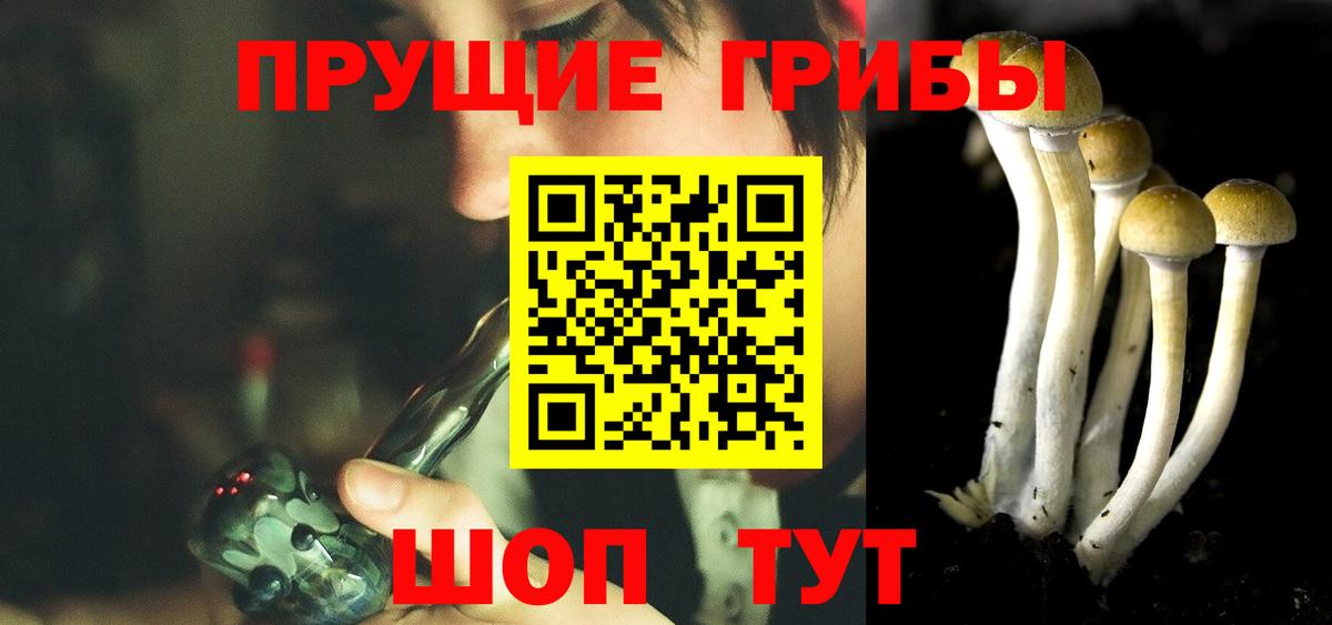 Псилоцибиновые грибы GOLDEN TEACHER Кизилюрт