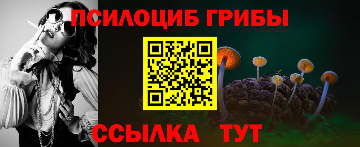 Кизилюрт  Галлюциногенные грибы ЛСД  Вход с VPN 